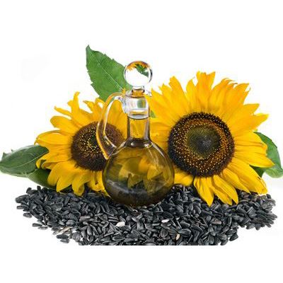 خط تولید روغن آفتابگردان